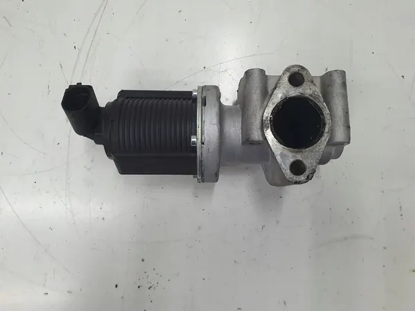 Válvula EGR Delphi EG10259 Fiat Alfa-Romeo Opel Saab image 2