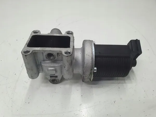 Válvula EGR Delphi EG10259 Fiat Alfa-Romeo Opel Saab image 3