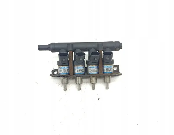 LPG-inspuitrail OEM 110R-011079C image 2