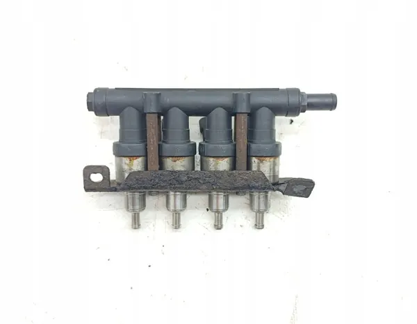 LPG-inspuitrail OEM 110R-011079C image 3