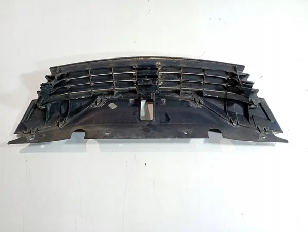Laguna II 2 LIFT 02-07 Grill OE 8200012581 image 5