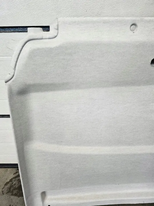 OEM 739013063R Plafonnier pour Renault Trafic III image 4