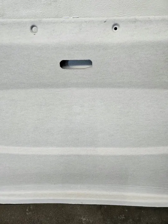 OEM 739013063R Plafonnier pour Renault Trafic III image 5
