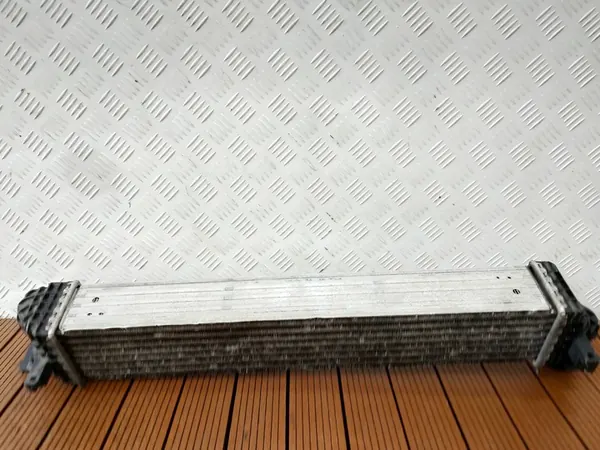 Intercooler Renault Scenic III Megane III image 7