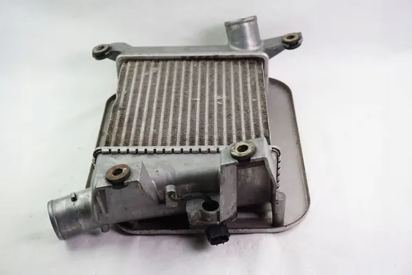 Radiatore Intercooler Nissan Navara D22 NP300 OEM 14461VK500 image 7