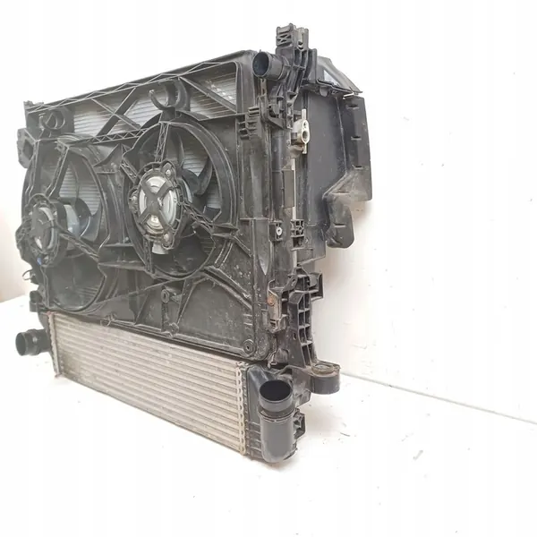 Radiador Renault Trafic III 2017 214819927R image 6