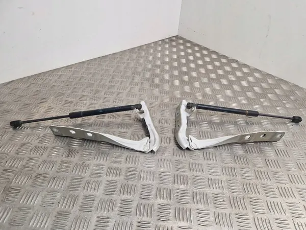 Charnières de capot Citroen DS5 2012 image 3