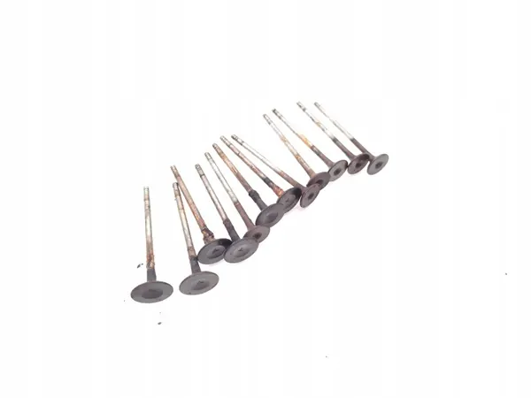 Soupape Ford OEM M1DA pour 1.0 EcoBoost 125 CV image 3