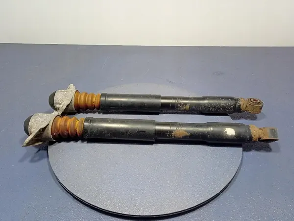 Ammortizzatori Posteriori SKODA YETI 4X4 Set 1K0513029MN image 3