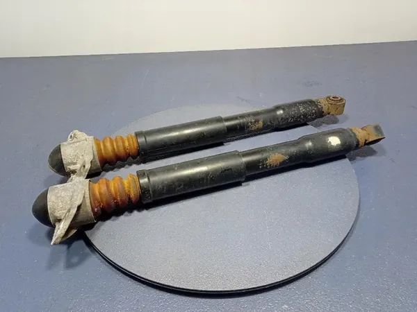 Ammortizzatori Posteriori SKODA YETI 4X4 Set 1K0513029MN image 7