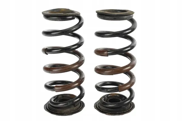 Set di molle posteriori Lexus NX300H 48231-78030 image 2