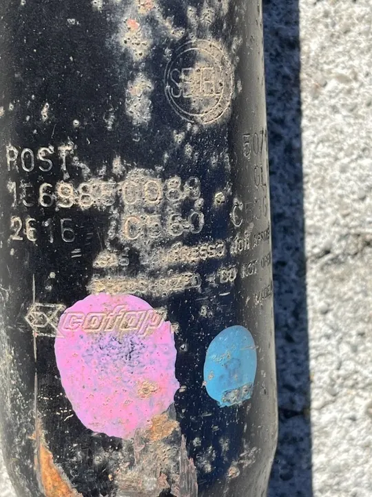 Ammortizzatore posteriore Fiat Ducato III, Peugeot Boxer III, Citroen Jumper III OEM image 4