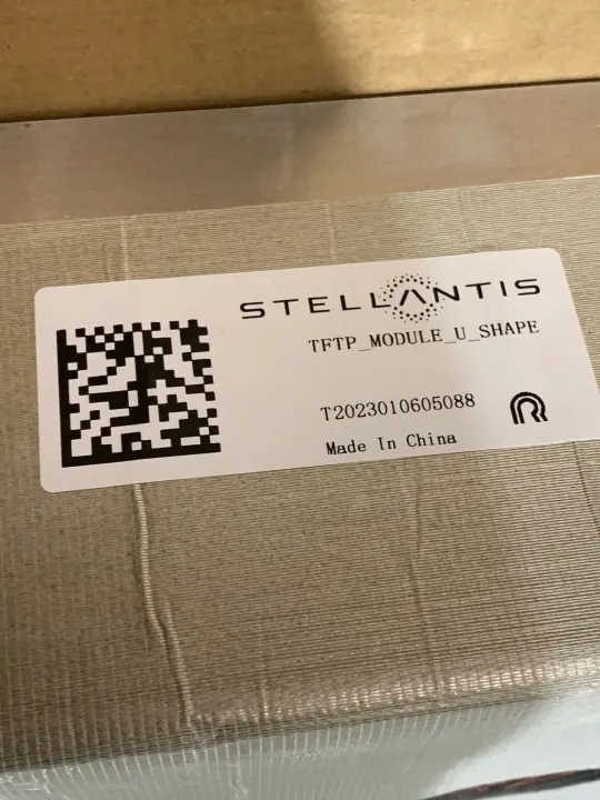 Module Batterie Stellantis 2P3S 3,18 kWh Stockage Énergie image 3