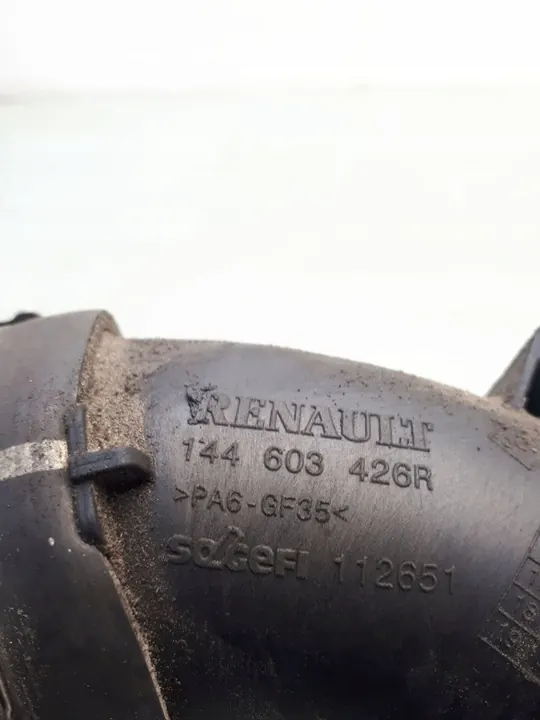 Intercooler-Schlauch Renault Master III 2016 1126095 image 4