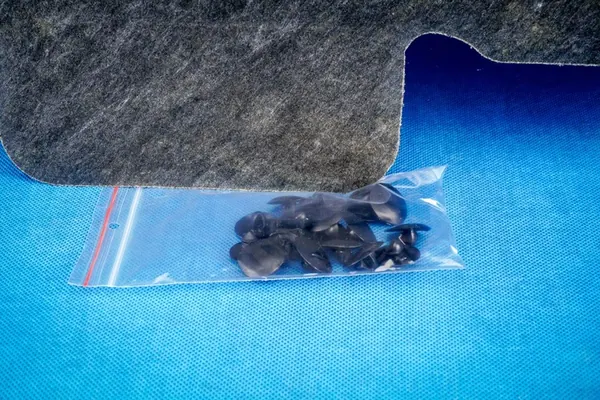 Framskärm Isolering Clips BMW X5 G05 OEM 51487189921 image 3