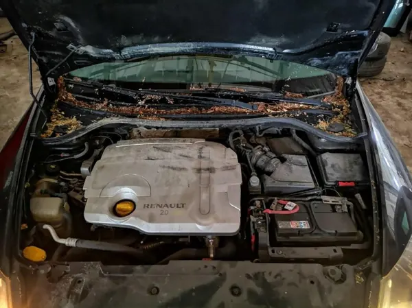 OEM as2 EIS-2047098 kvartsfönsterglas bakre höger image 7