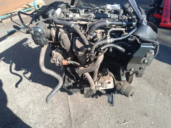Gebruikte Opel Dieselmotor OEM Wrakowisko-25580- image 6