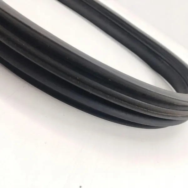 Vedação de Porta Frontal Esquerda RENAULT MODUS image 3