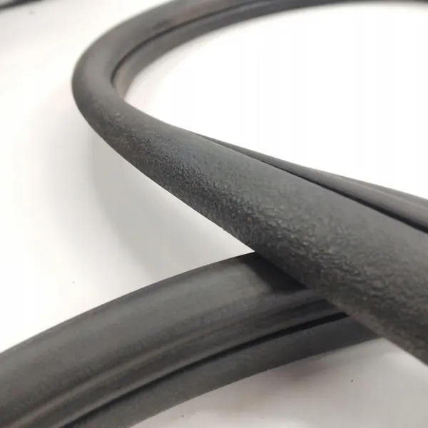 Vedação de Porta Frontal Esquerda RENAULT MODUS image 4