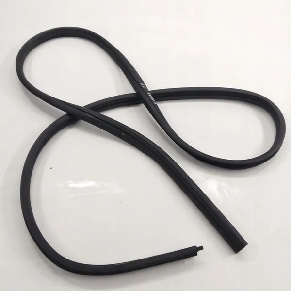 Vedação de Porta Frontal Esquerda RENAULT MODUS image 6