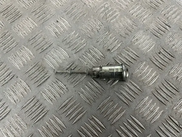 Inserción de Cerradura Puerta Delantera Izquierda Renault Scenic III OEM N0503473 image 2