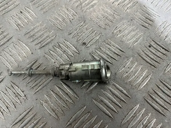 Inserción de Cerradura Puerta Delantera Izquierda Renault Scenic III OEM N0503473 image 3