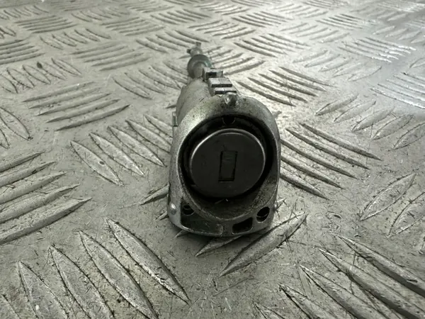 Inserción de Cerradura Puerta Delantera Izquierda Renault Scenic III OEM N0503473 image 4