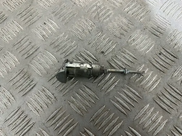 Inserción de Cerradura Puerta Delantera Izquierda Renault Scenic III OEM N0503473 image 5