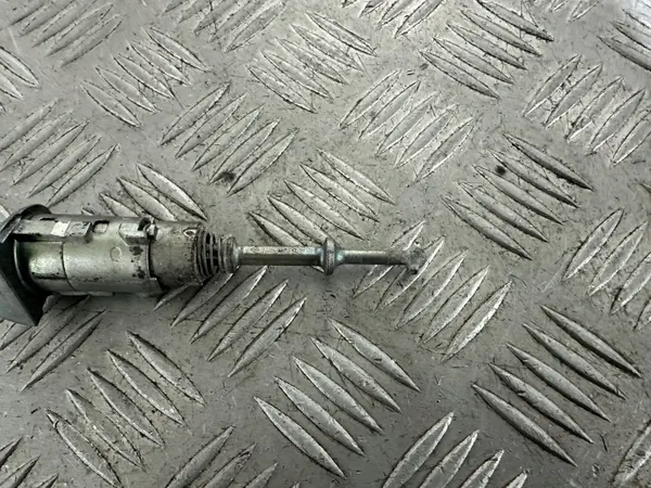 Inserción de Cerradura Puerta Delantera Izquierda Renault Scenic III OEM N0503473 image 7
