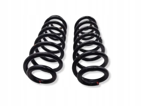 Mola traseira OEM NA para Volkswagen Tiguan 2012 image 2