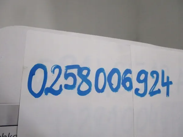 SENSOR OPEL ASTRA H COMBO CORSA C 0258006924 image 6