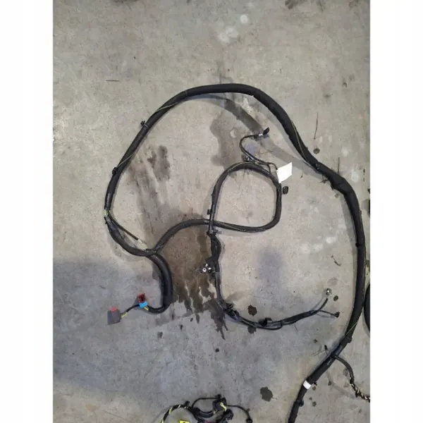 Faisceau Intérieur OEM 1234 - État Utilisé image 2