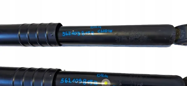 Set Ammortizzatori Posteriori RENAULT CLIO IV 562109815R image 4