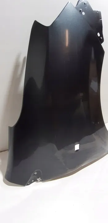 Fram höger skärm Dacia Lodgy Dokker 2013 original image 3