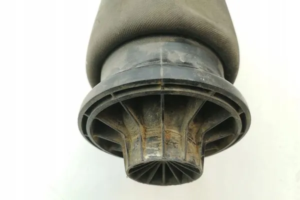 Cuscino sospensione posteriore sinistro MERCEDES-BENZ M (W164) A1643200625 image 5