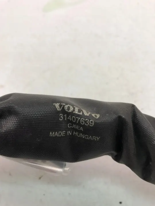 Gebrauchter Volvo OE Endschalldämpfer OEM 31407639 - 2019 image 3