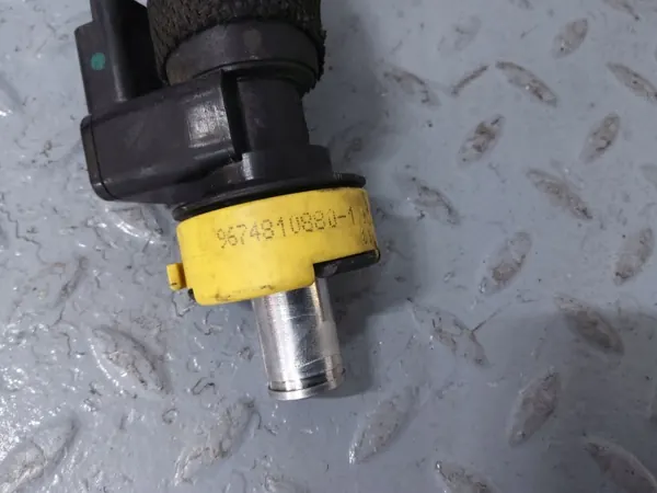 Manguera Sensor OEM 9674810880 para Citroen Expert 2.0HDI image 3