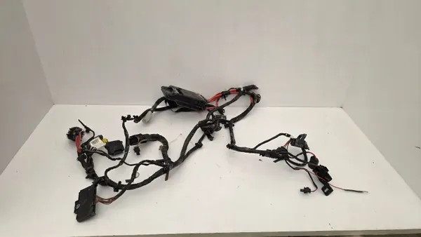 Faisceau Câblage Côté Gauche BMW 1 F40 OEM image 2
