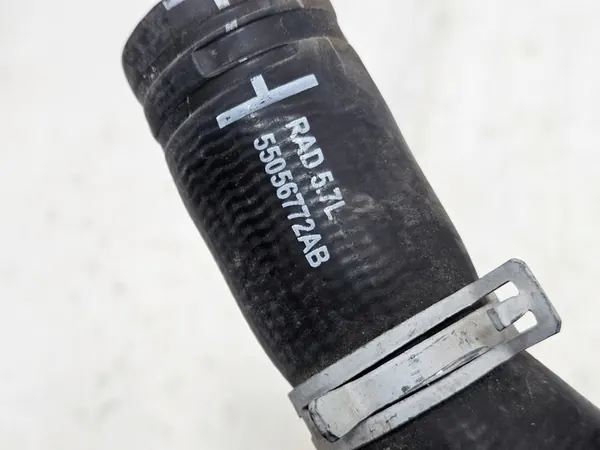 Dodge RAM Vesisuodatin 55056772AB image 6