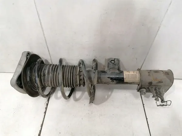 Ammortizzatore MERCEDES-Benz Anteriore A1173231500 image 4