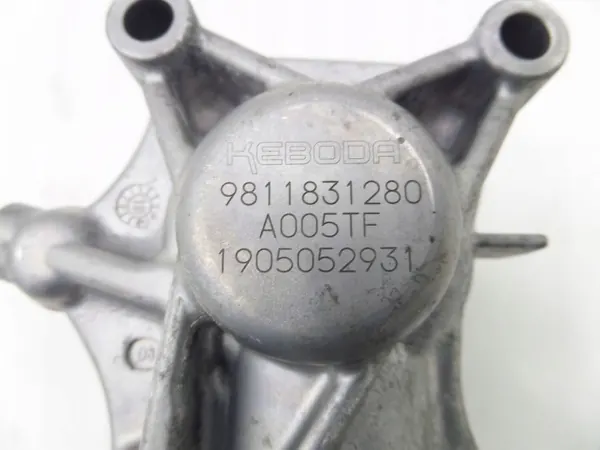 Insprutningspump Peugeot 3008 II OEM 9811831280 image 4