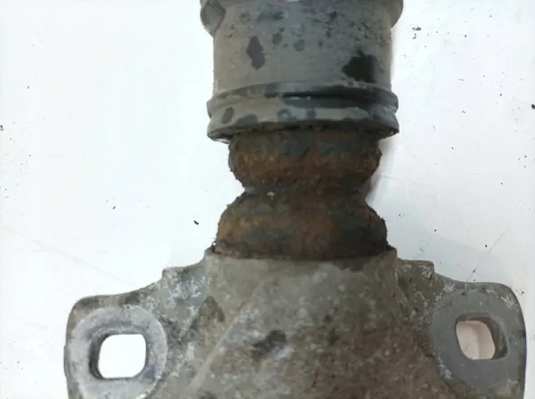 Amortecedor Hidráulico Traseiro OEM 5907911257552 image 3