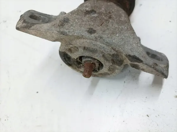 Amortecedor Hidráulico Traseiro OEM 5907911257552 image 4