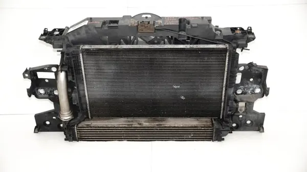 OEM 360163621 Etuhihna Renault Scenic III 09-13 image 2