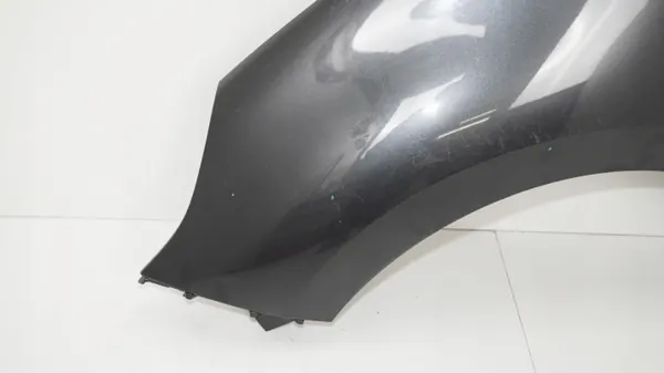 Para-lamas dianteiro esquerdo OEM 360184553 para Renault Grand Scenic III image 5