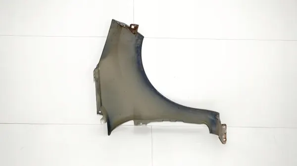 Para-lamas dianteiro esquerdo OEM 365577748 Ford Fiesta MK7 image 9