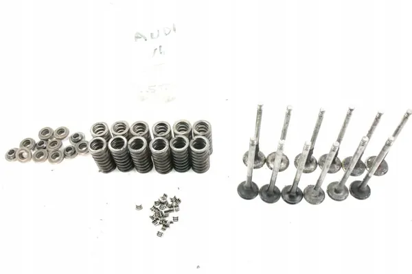 OEM Inlaat/Uitlaatkleppen Audi A6 A4 VW Passat 2.5 V6 TDI image 2