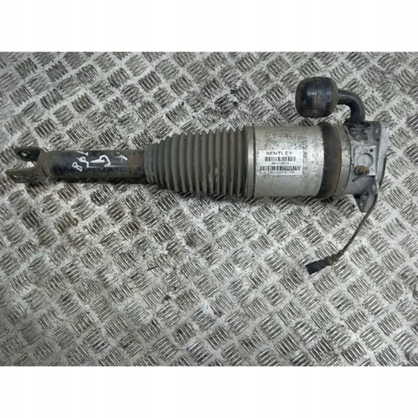 Amortecedor pneumático traseiro esquerdo Bentley OE 3W5616001B image 2