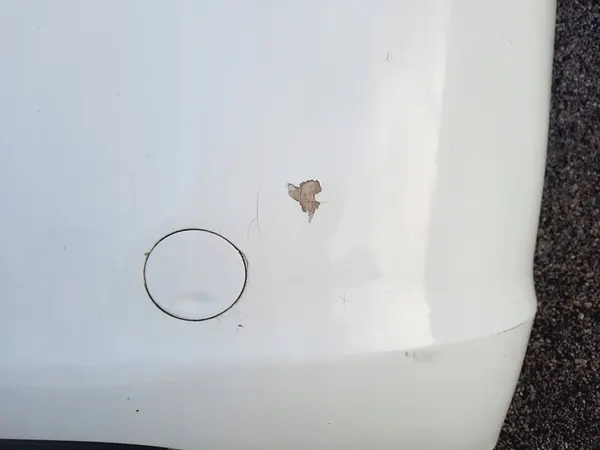 OPEL INSIGNIA A HATCHBACK Paraurti posteriore 13238744 Z40R image 3