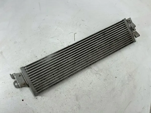 Radiador de óleo Volkswagen Tiguan Allspace 5QF317019A image 4